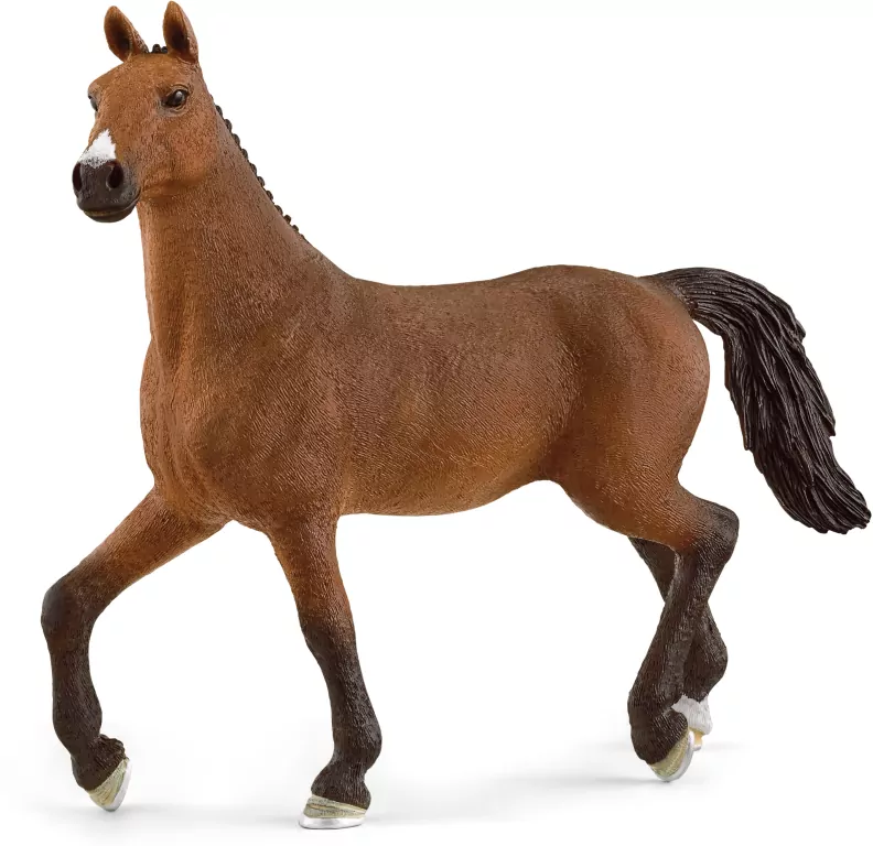 Klacz oldenburska 13945 - tantis.pl