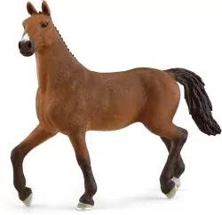 Klacz oldenburska 13945