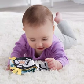 Fisher Price Rozkołysana Wyderka 2w1 Poduszeczka - tantis.pl