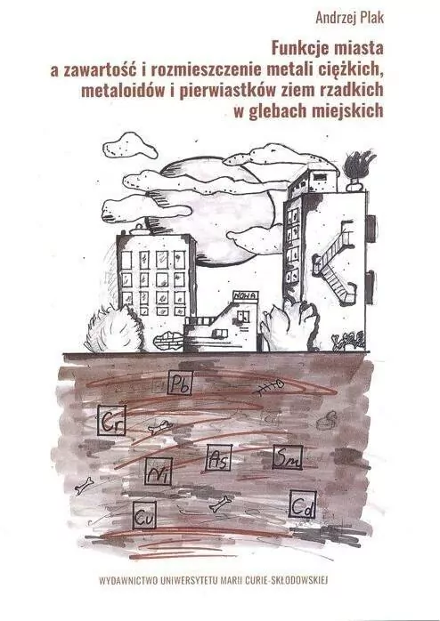 Funkcje miasta a zawartość i rozmieszczenie... - tantis.pl