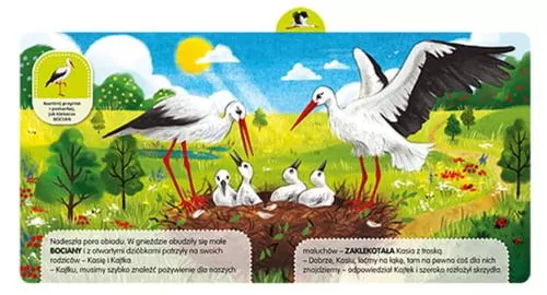 Łąka. Odkrywam dźwięki - tantis.pl