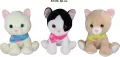 Kot 60cm MIX - tantis.pl