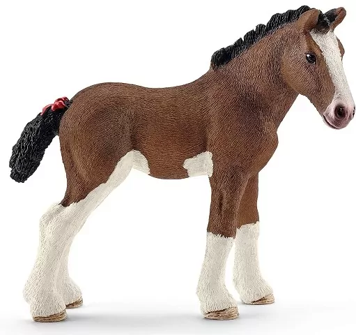 Źrebię rasy Clydesdale - tantis.pl