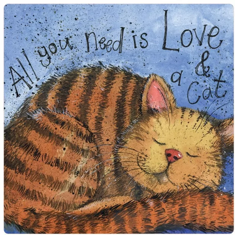 Magnes FM223 Miłośc i kot - tantis.pl