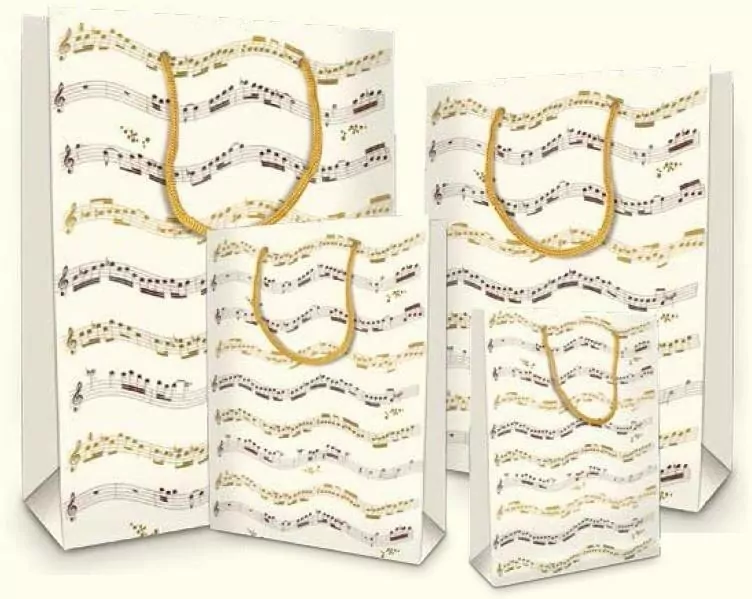 Torebka ozdobna BXS502C37D Musica duża - tantis.pl