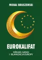 Eurokalifat. Dżihad, gangi i islamizacja Europy - tantis.pl