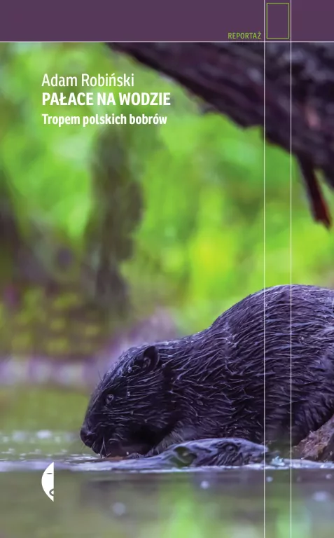 Pałace na wodzie. Tropem polskich bobrów - tantis.pl