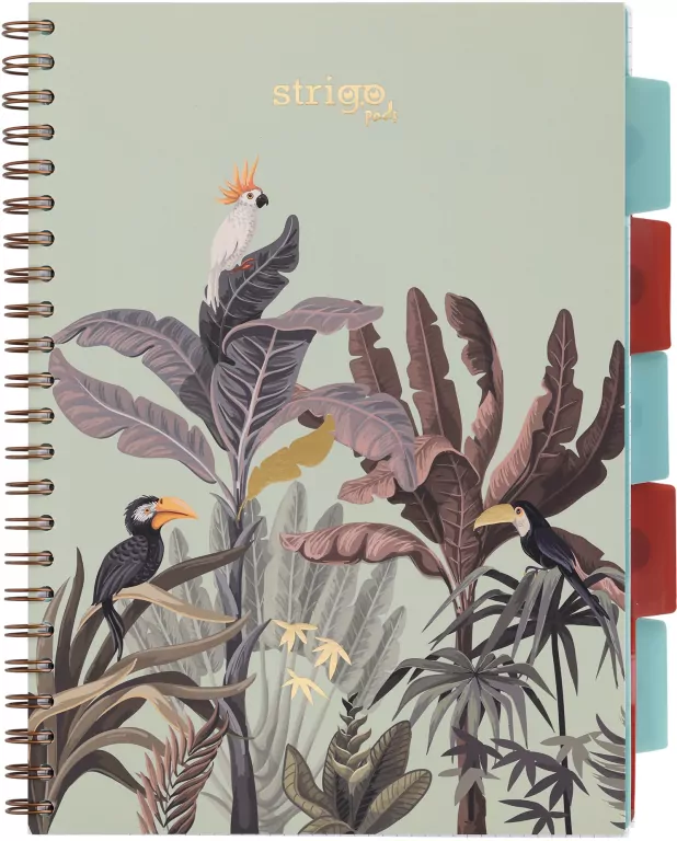 Kołozeszyt Pads A4/100K kratka Afryka pastel ziel - tantis.pl