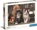 Puzzle 1000. High Quality Collection. Słodkie kotki - tantis.pl