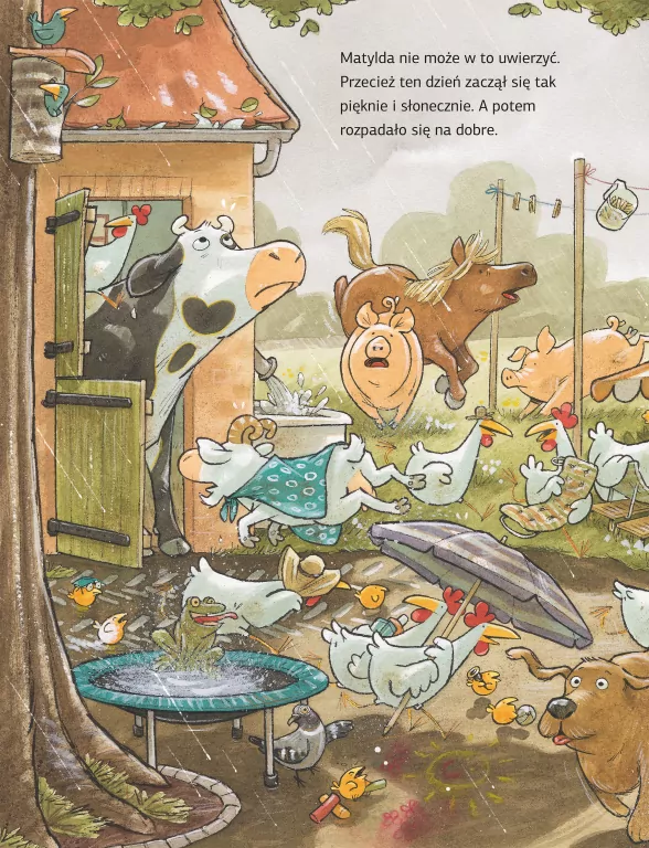 Krowa Matylda i deszcz - tantis.pl