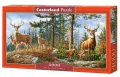 Puzzle 4000 el. Royal Deer Family - tantis.pl