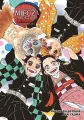Miecz zabójcy demonów. Jednoskrzydły motyl. Light Novel - tantis.pl