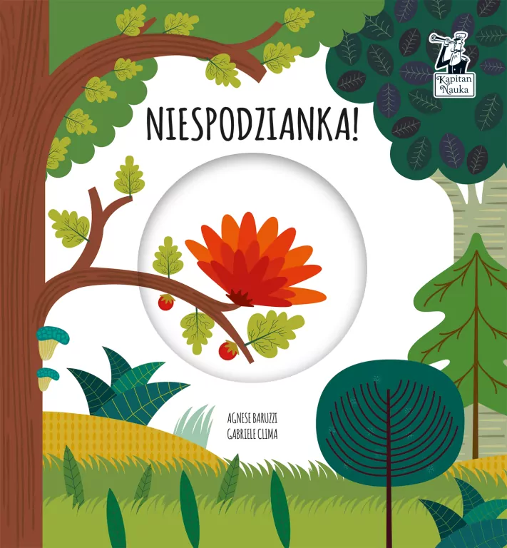 Niespodzianka. Magiczne koło. Kapitan Nauka - tantis.pl