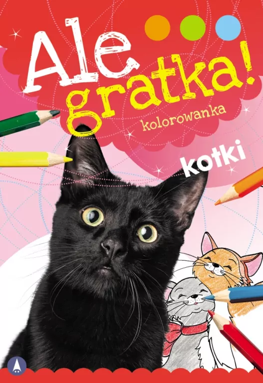 Ale gratka! Kotki - tantis.pl