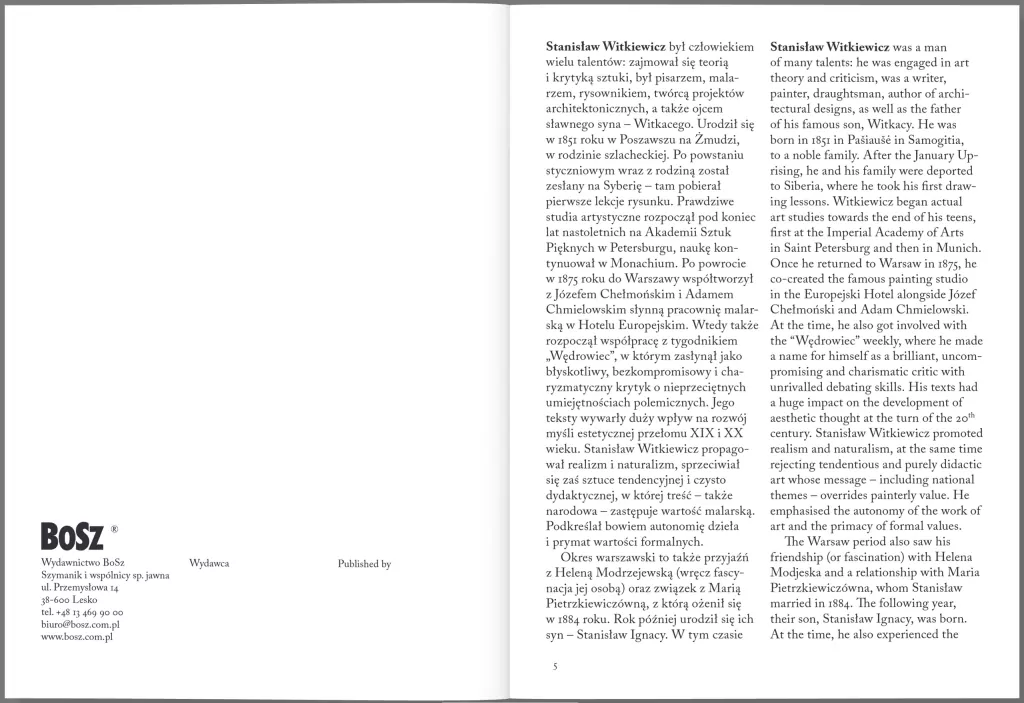 Witkiewicz. Malarstwo - tantis.pl
