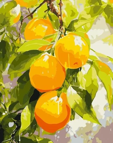 Malowanie po numerach. Soczyste cytryny 40x50cm - tantis.pl