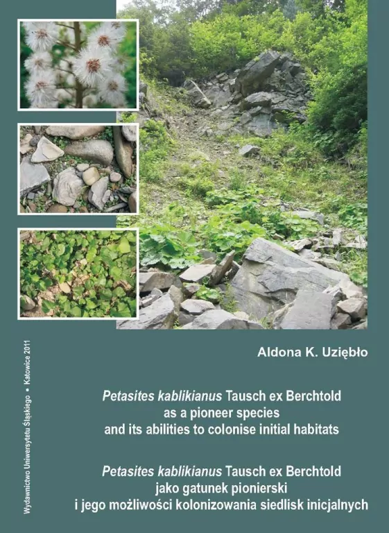 Petasites kablikianus Tausch ex Berchtold as... - tantis.pl