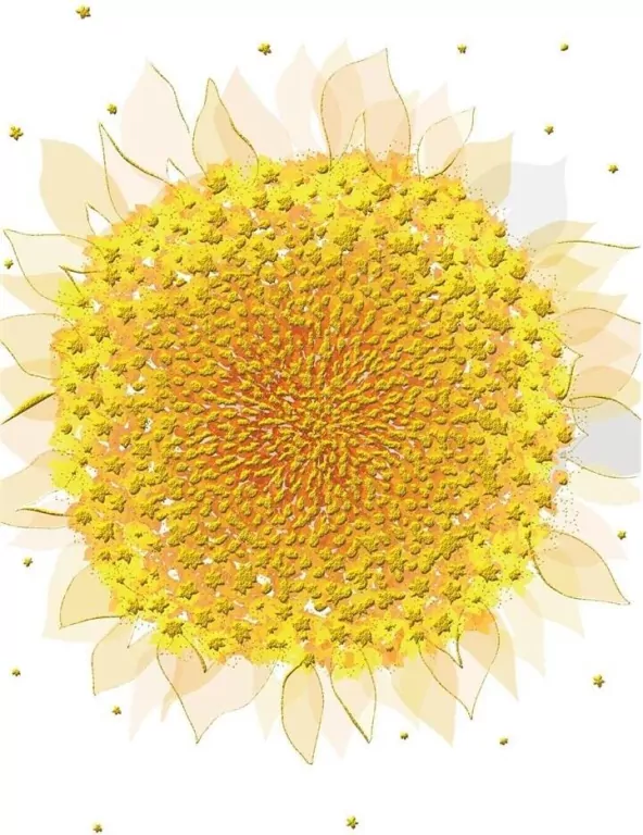 Karnet B6 + koperta MO5516W Słonecznik - tantis.pl