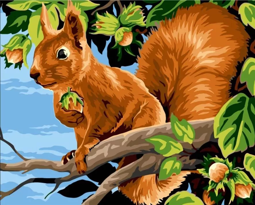 Malowanie po numerach 40x50cm Wiewiórka z... - tantis.pl