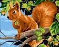 Malowanie po numerach 40x50cm Wiewiórka z... - tantis.pl