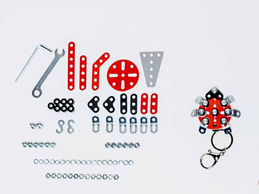 Brelok DIY biedronka. X-press Me - tantis.pl