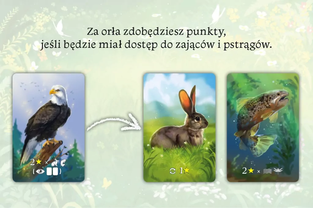 Gra Ekosystem - tantis.pl