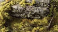 Gamers Grass: Light Green Shrubs - tantis.pl