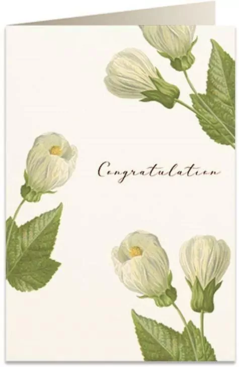 Karnet B6 + koperta: Gratulacje kwiaty - tantis.pl