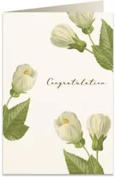 Karnet B6 + koperta: Gratulacje kwiaty