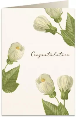 Karnet B6 + koperta: Gratulacje kwiaty