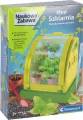 Mini Szklarnia - tantis.pl