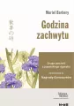 Godzina zachwytu - tantis.pl