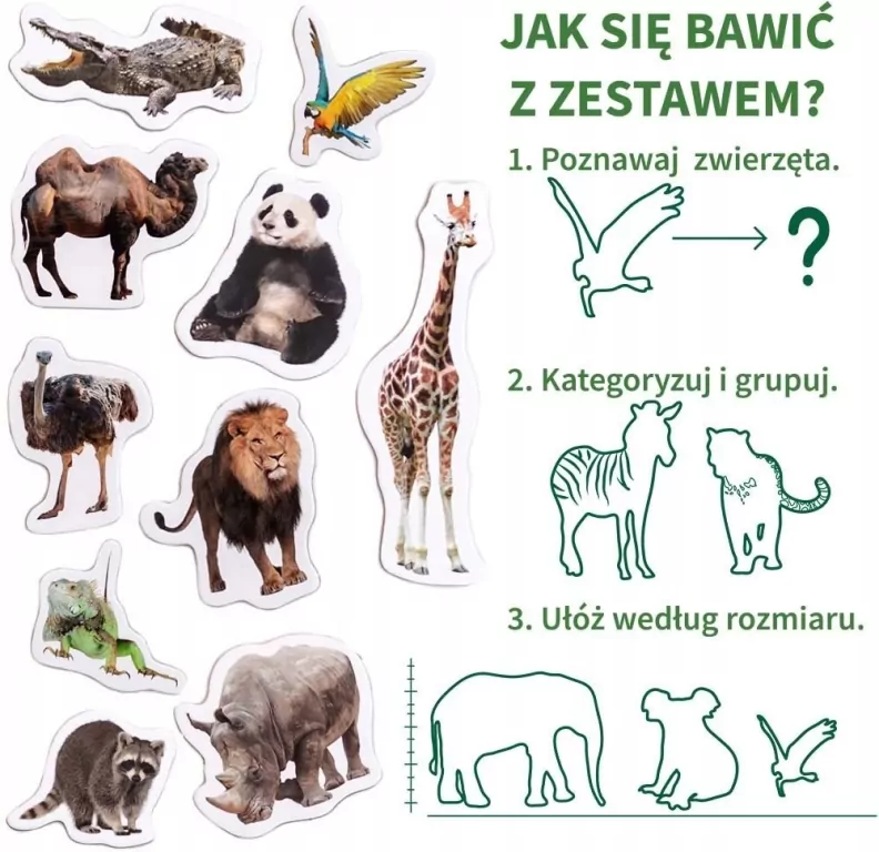 Zestaw magnesów dla dzieci. ZOO - tantis.pl