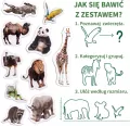 Zestaw magnesów dla dzieci. ZOO - tantis.pl