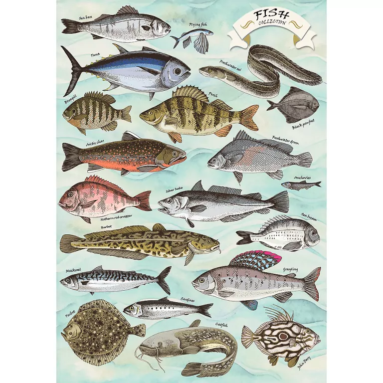 Puzzle 500 Finders Keepers: Ryby TREFL - tantis.pl