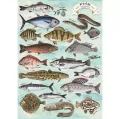 Puzzle 500 Finders Keepers: Ryby TREFL - tantis.pl