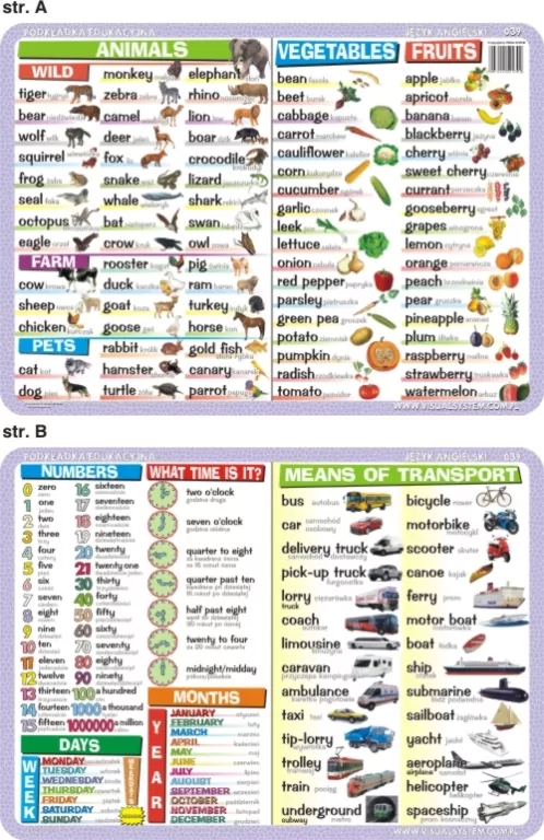 Podkładka edukacyjna. Język angielski - tantis.pl