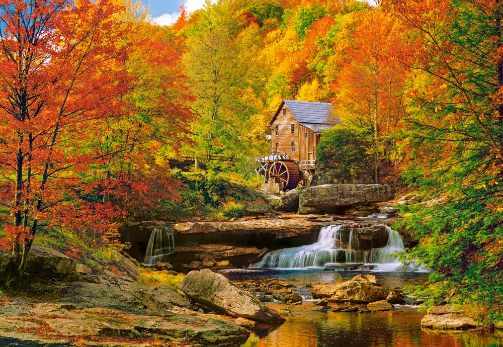 Castorland. Puzzle 1000, Magical Autumn - tantis.pl