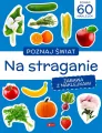 Na straganie. Poznaj świat. Zabawa z naklejkami - tantis.pl