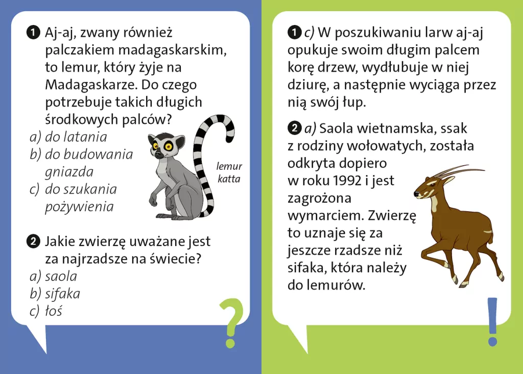 Dlaczego leniwiec jest leniwy? - tantis.pl