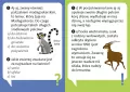 Dlaczego leniwiec jest leniwy? - tantis.pl