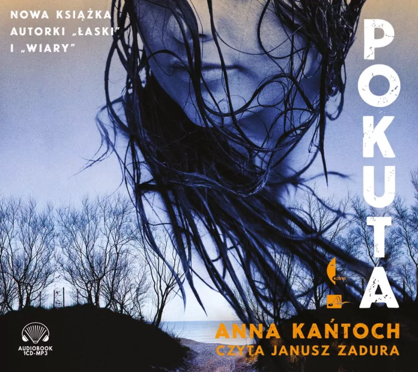 Pokuta. Audiobook - tantis.pl