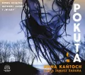 Pokuta. Audiobook - tantis.pl