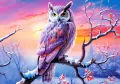 Puzzle 500. Owl's Perfect Evening. B-54022 - tantis.pl