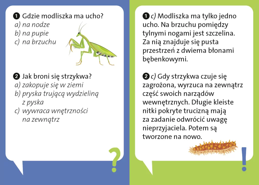 Dlaczego leniwiec jest leniwy? - tantis.pl