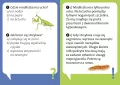 Dlaczego leniwiec jest leniwy? - tantis.pl