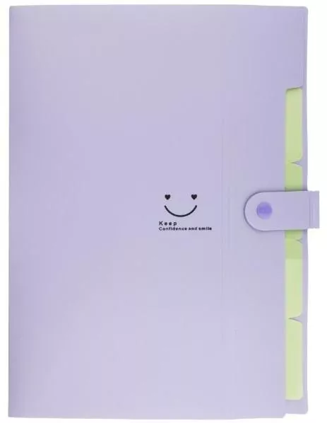 Teczka plastikowa A4 z 5 przegródkami fioletowa - tantis.pl