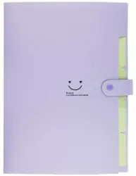 Teczka plastikowa A4 z 5 przegródkami fioletowa