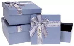 Pudełko prezentowe z kokardą nieb ROZETTE