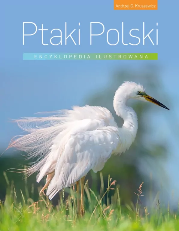 Ptaki Polski. Encyklopedia ilustrowana - tantis.pl